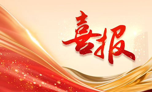 1764554262928561.jpg 11月中標(biāo).1.jpg